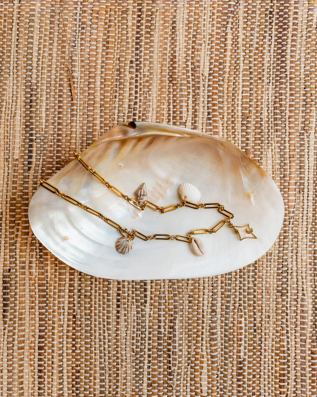 Shell Chain Necklace