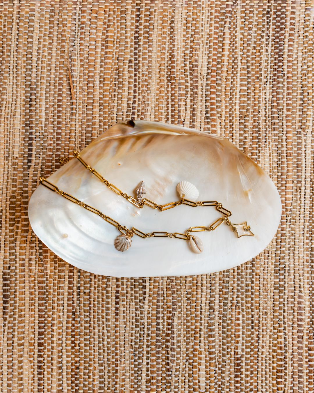 Shell Chain Necklace